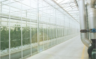 https://suntasticfresh.com/wp-content/uploads/2017/07/Careers-Page_Greenhouse_MOBILE.jpg